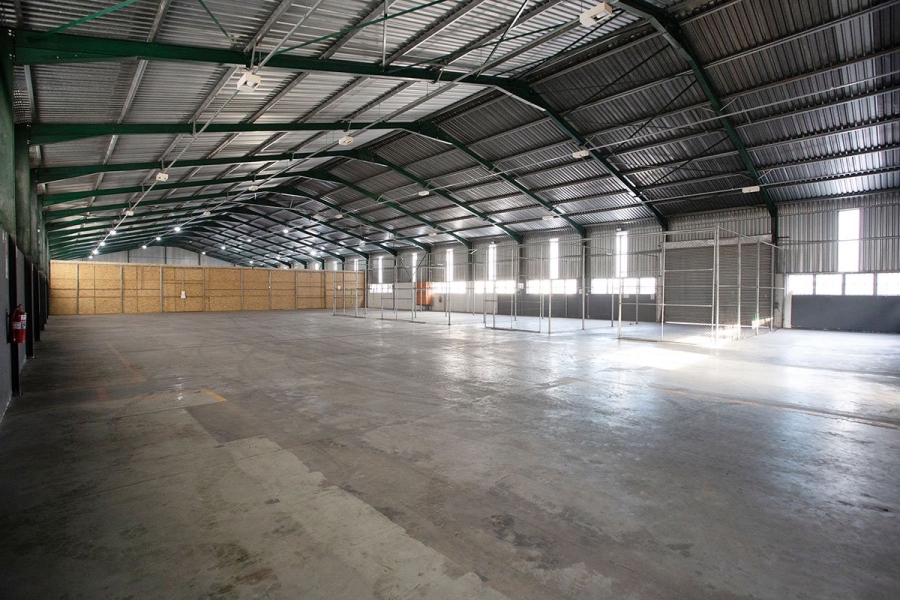 To Let commercial Property for Rent in George Industrial Western Cape
